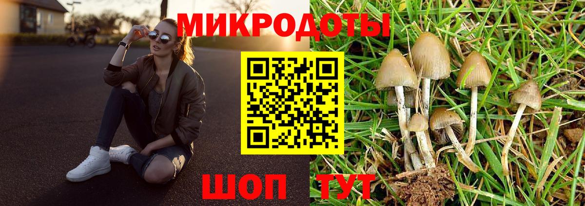 Галлюциногенные грибы Psilocybe  Вход с VPN  Вятские Поляны 